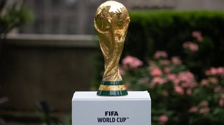 FIFA seeks payment after accidental World Cup ticket giveaway